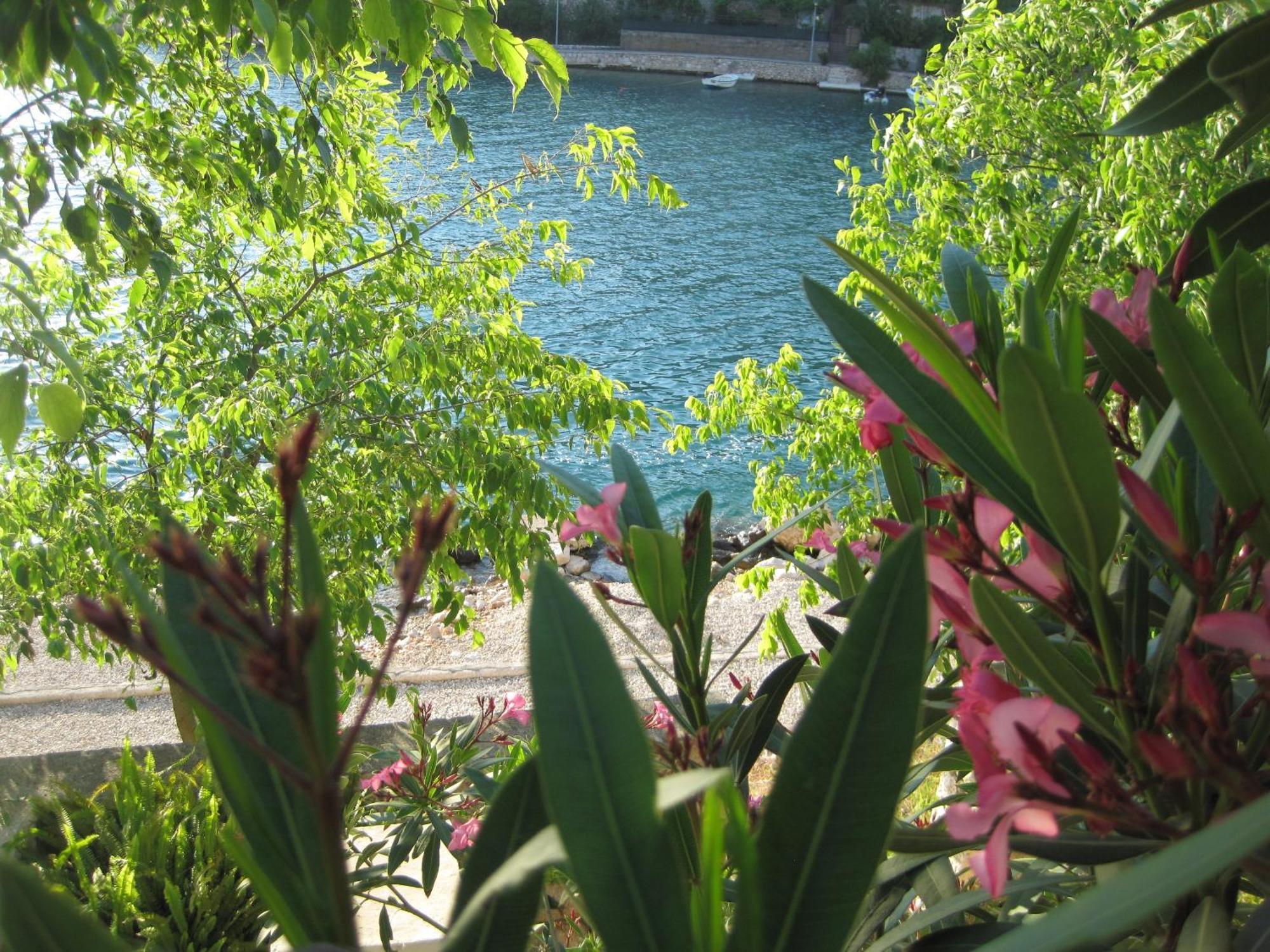 Villa Obad Guest House Neum Dış mekan fotoğraf